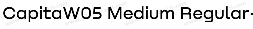 CapitaW05 Medium Regular字体转换